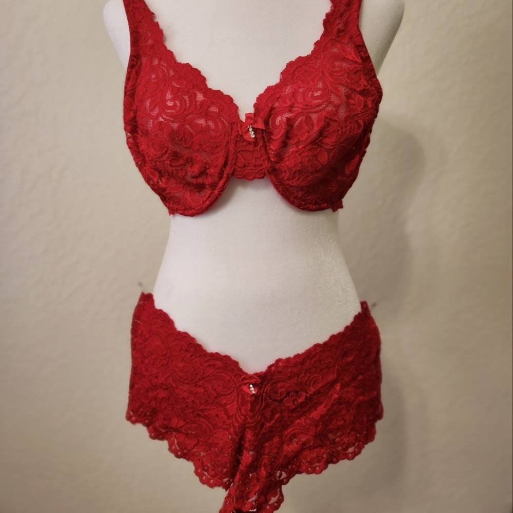 Smart & Sexy red lacy 36D bra and L boy cut panties.